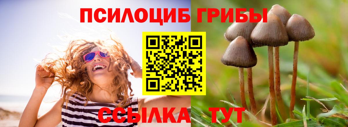 Псилоцибиновые грибы прущие грибы Нижний Тагил